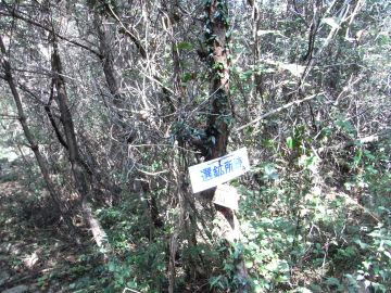 20090913_091414.jpg 20090913_091414.jpg