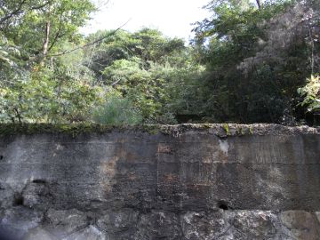 20090913_094014.jpg 20090913_094014.jpg
