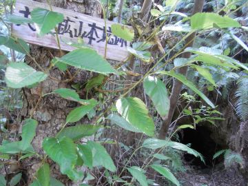 20090919_101134.jpg 20090919_101134.jpg