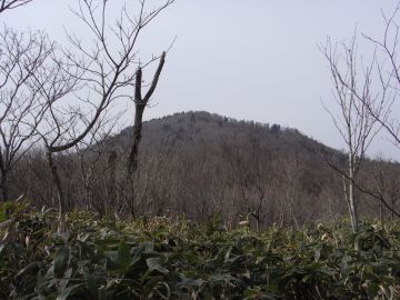 画像の説明