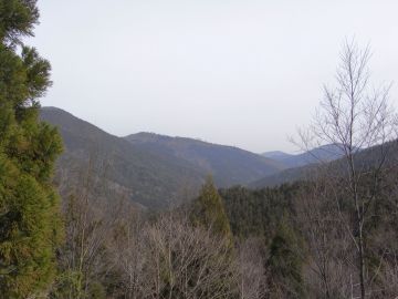 画像の説明 画像の説明