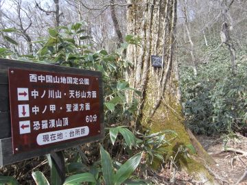 画像の説明 画像の説明