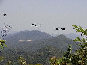 画像の説明 画像の説明