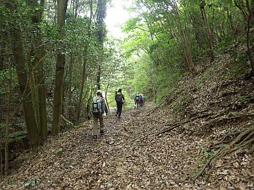 大屋大川支流右岸の地道を行く 大屋大川支流右岸の地道を行く