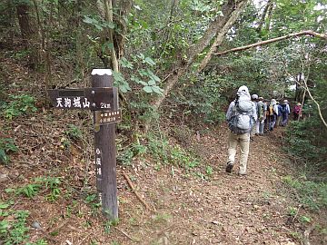 天狗城山分岐 天狗城山分岐