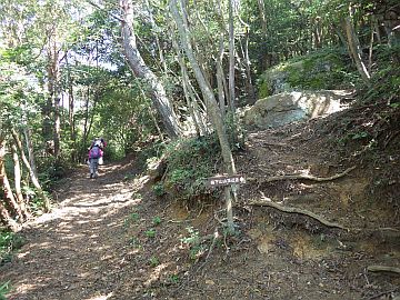 絵下山遊歩道 絵下山遊歩道