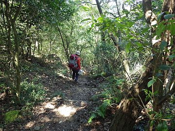 絵下山から発喜山に向けて下る 絵下山から発喜山に向けて下る