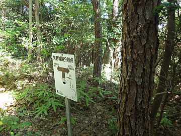 矢野城址分岐 矢野城址分岐