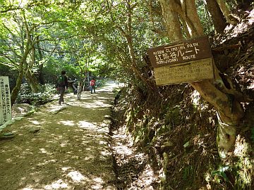 紅葉谷コース取り付き付近 紅葉谷コース取り付き付近