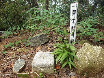金ヶ燈篭山三角点 金ヶ燈篭山三角点