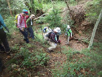 古峠に向けて下る 古峠に向けて下る
