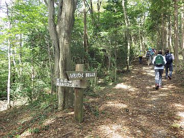 南回りコース分岐 南回りコース分岐