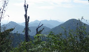 絵下山からの縦走路 絵下山からの縦走路