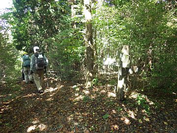 鉾取山三角点のすぐ先 鉾取山三角点のすぐ先