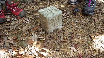 藤ヶ丸山三角点 藤ヶ丸山三角点