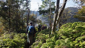 三本木山から下る 三本木山から下る