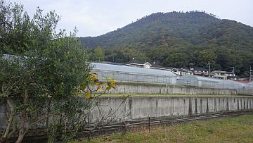 寺分北バス停近く 寺分北バス停近く