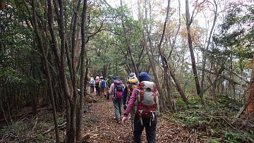 山頂部をゆったりと行く 山頂部をゆったりと行く