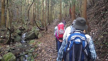 東畑川左岸を行く 東畑川左岸を行く
