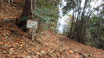 鬼ヶ城山取付き 鬼ヶ城山取付き