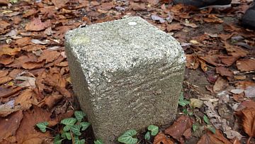 鬼ヶ城山三角点 鬼ヶ城山三角点