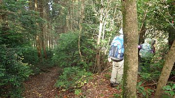 あくまでも尾根筋を行く あくまでも尾根筋を行く
