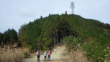 正面に中尾山798mの電波塔を見る 正面に中尾山798mの電波塔を見る