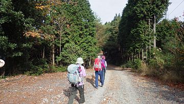 穴郷林道を行く 穴郷林道を行く