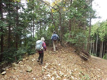 標高610m台 標高610m台