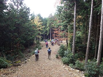 標高600m台 標高600m台