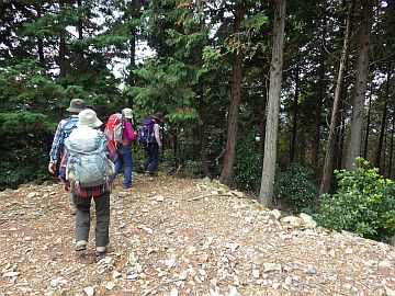 標高580m台 標高580m台