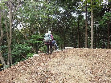 標高540m台 標高540m台