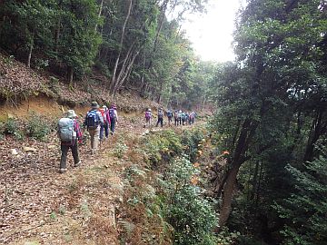 標高510m前後 標高510m前後