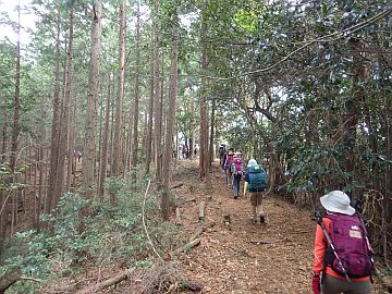 緩やかな尾根を行く 緩やかな尾根を行く