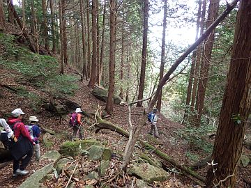 可部峠からの下り 可部峠からの下り