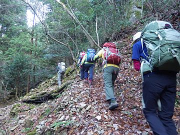 沢の左岸を行く 沢の左岸を行く