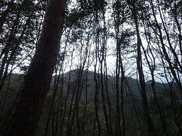 685m峰 685m峰