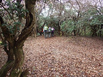 堂床山山頂部 堂床山山頂部