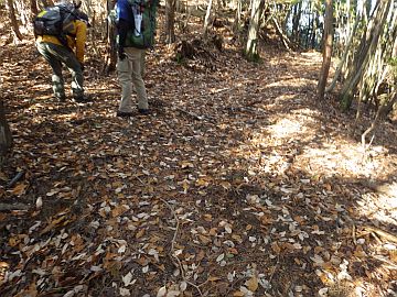 中綾ヶ谷方面 中綾ヶ谷方面