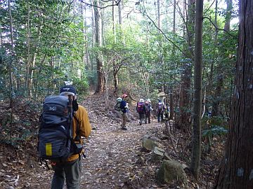 標高490m台分岐 標高490m台分岐