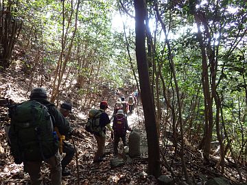 観音坂参道を下る 観音坂参道を下る