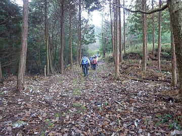 左右は植林帯 左右は植林帯