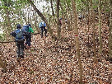 茶臼山山頂手前 茶臼山山頂手前