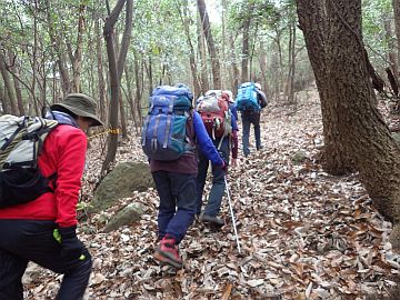 20160111-101909.jpg 20160111-101909.jpg