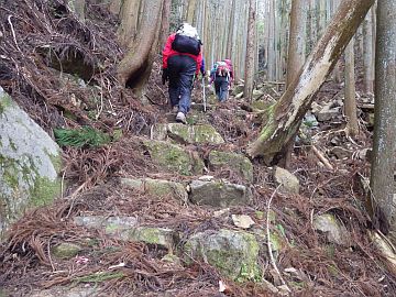 20160111-103316.jpg 20160111-103316.jpg
