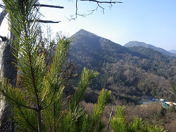 20160116-094831.jpg 20160116-094831.jpg