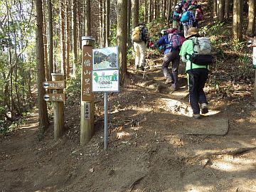 20160116-100456.jpg 20160116-100456.jpg