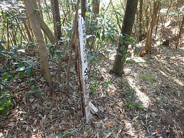 20160116-103716.jpg 20160116-103716.jpg