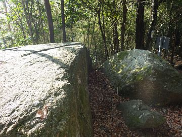 20160116-104158.jpg 20160116-104158.jpg