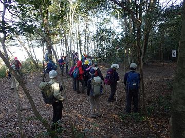 20160116-110402.jpg 20160116-110402.jpg